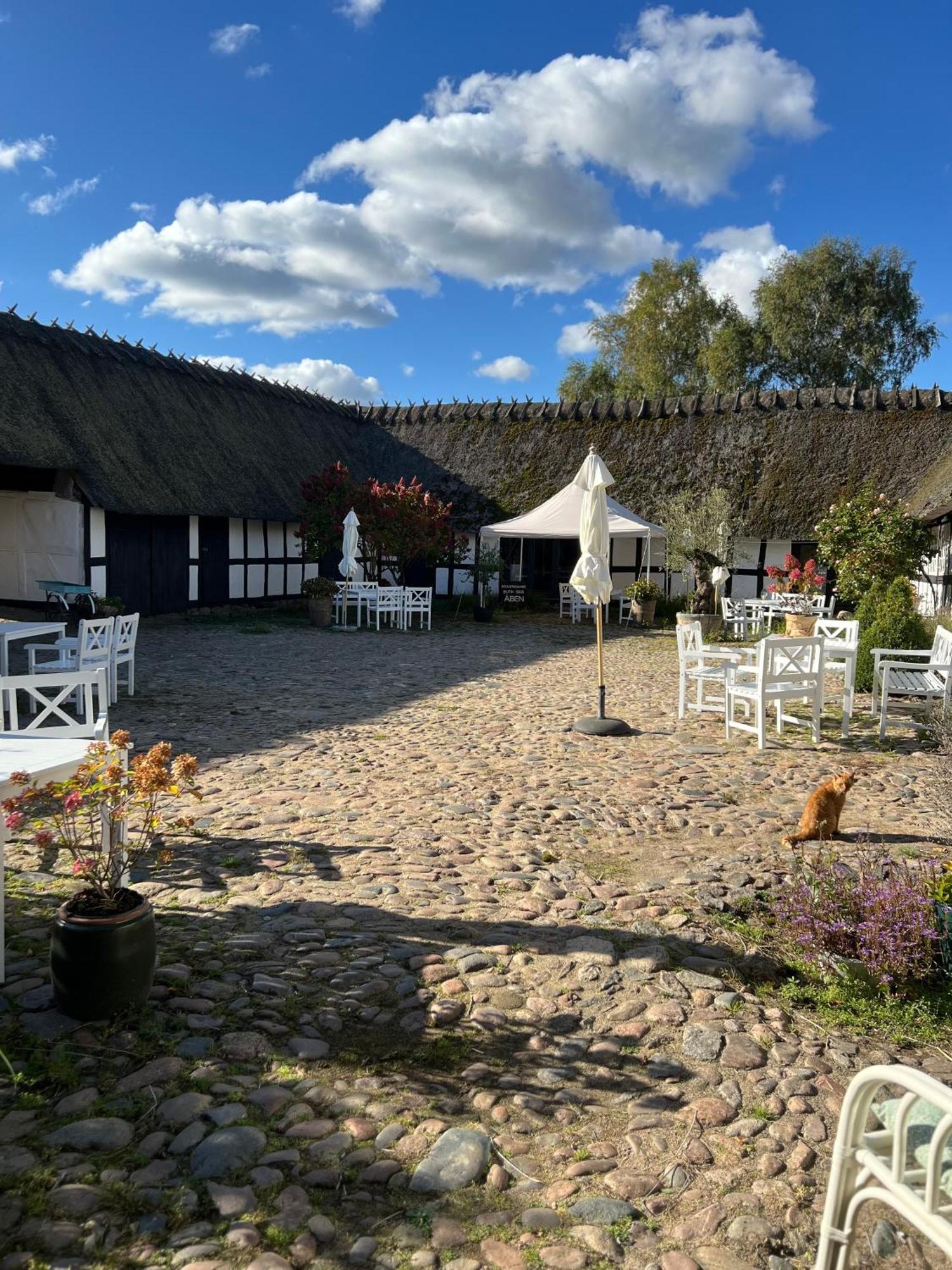 פאבורג Solbjerggaard Bed & Breakfast מראה חיצוני תמונה